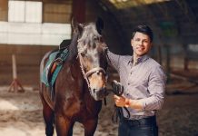 Profitable Horse Business Ideas – Here’s The Details to Know Profitable Horse Business Ideas